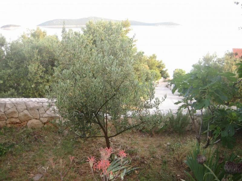 Apartments Mil - 80M From The Sea Sevid Luaran gambar